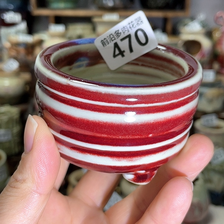 红陶内口径6高度5