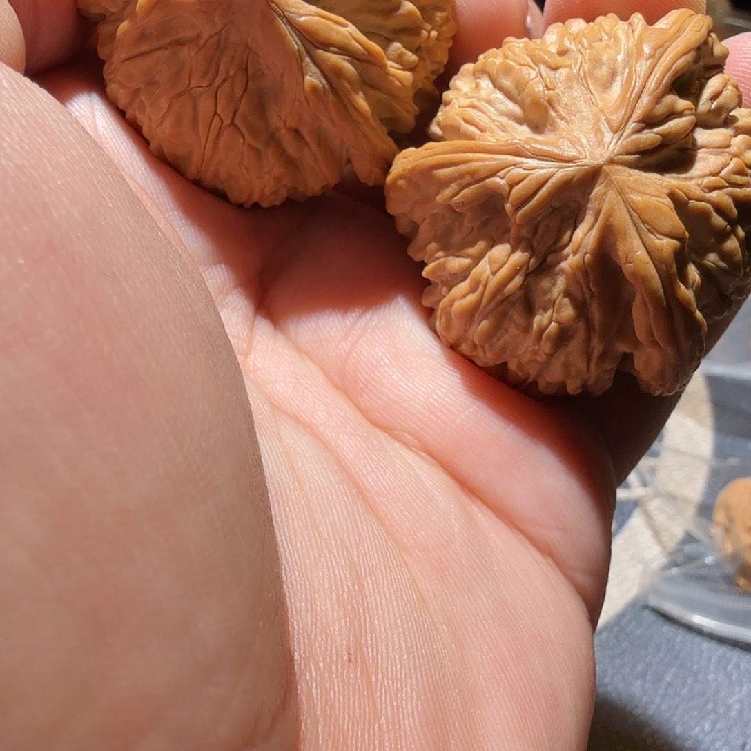 文玩核桃把件御龙正奔