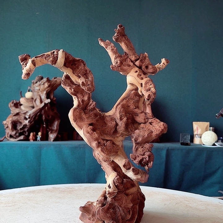 黑果木许*482金丝红木羊蹄甲半成品