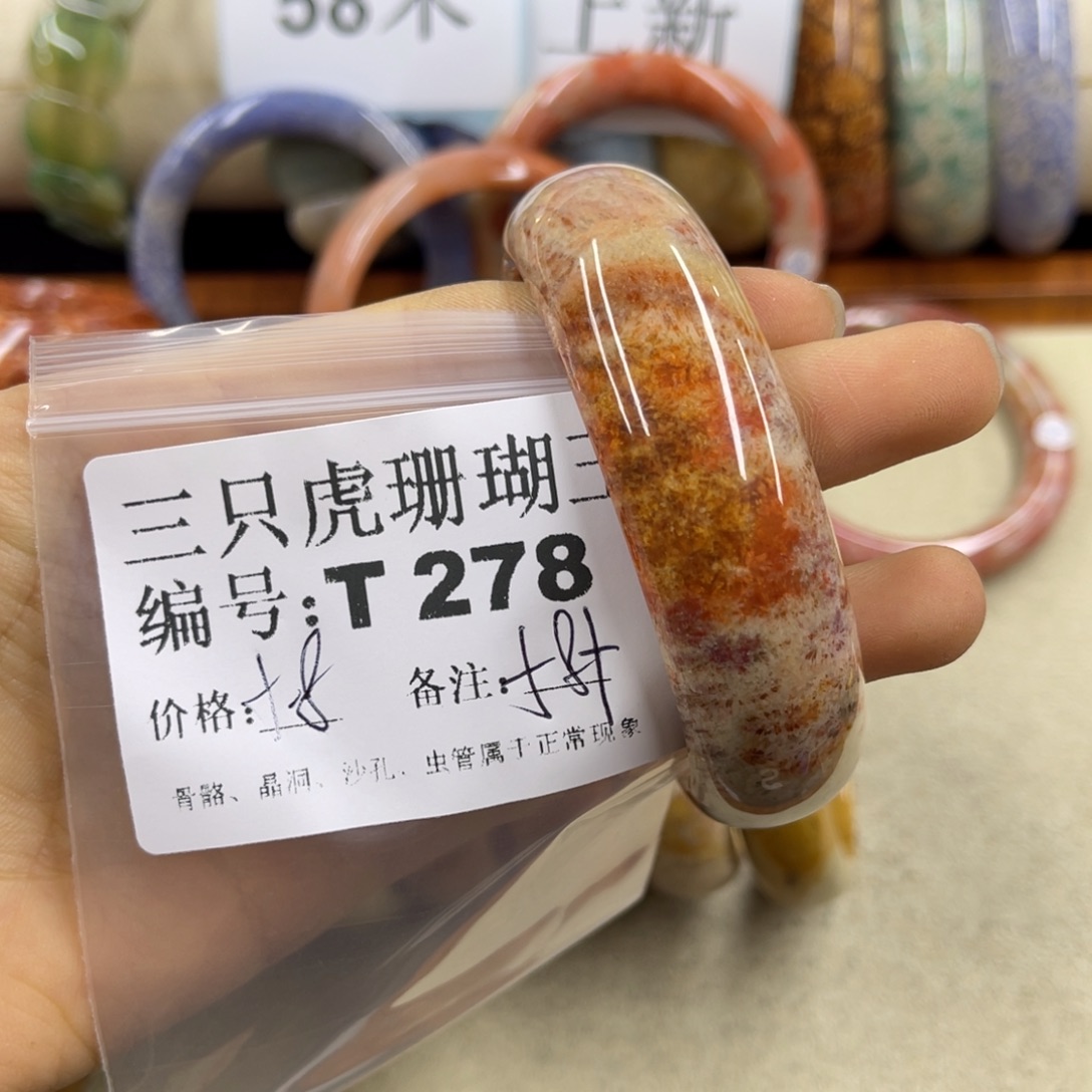 冉***然硅化珊瑚（珊瑚玉）未镶嵌h