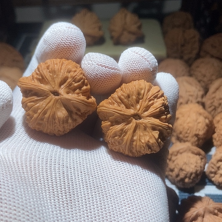 ****开文玩核桃吊坠金蝉子