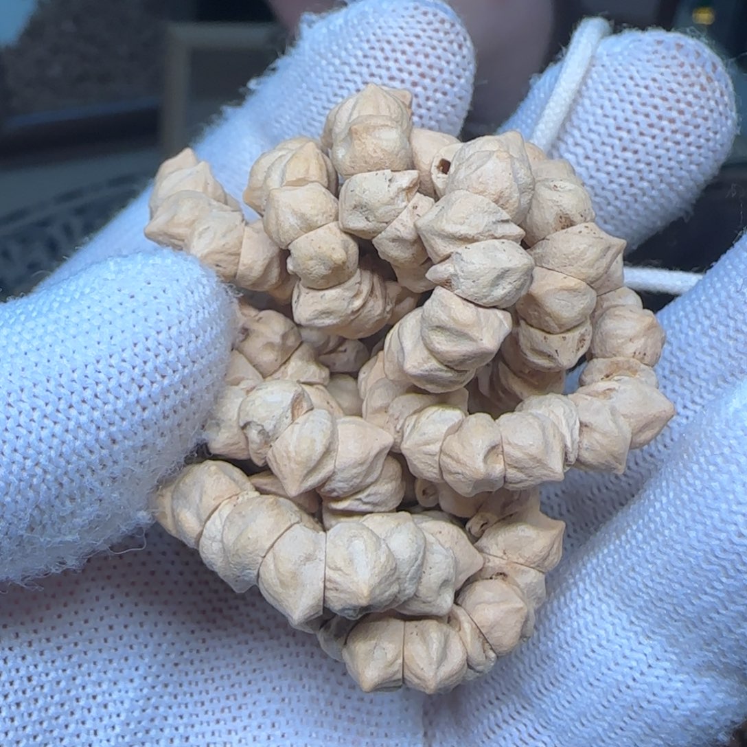 泽***亿柏香籽/百香籽手串