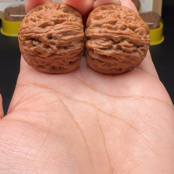 文玩核桃把件白狮子