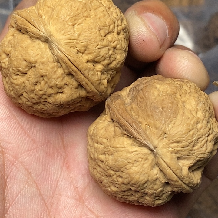 文玩核桃把件志成云铁文玩90