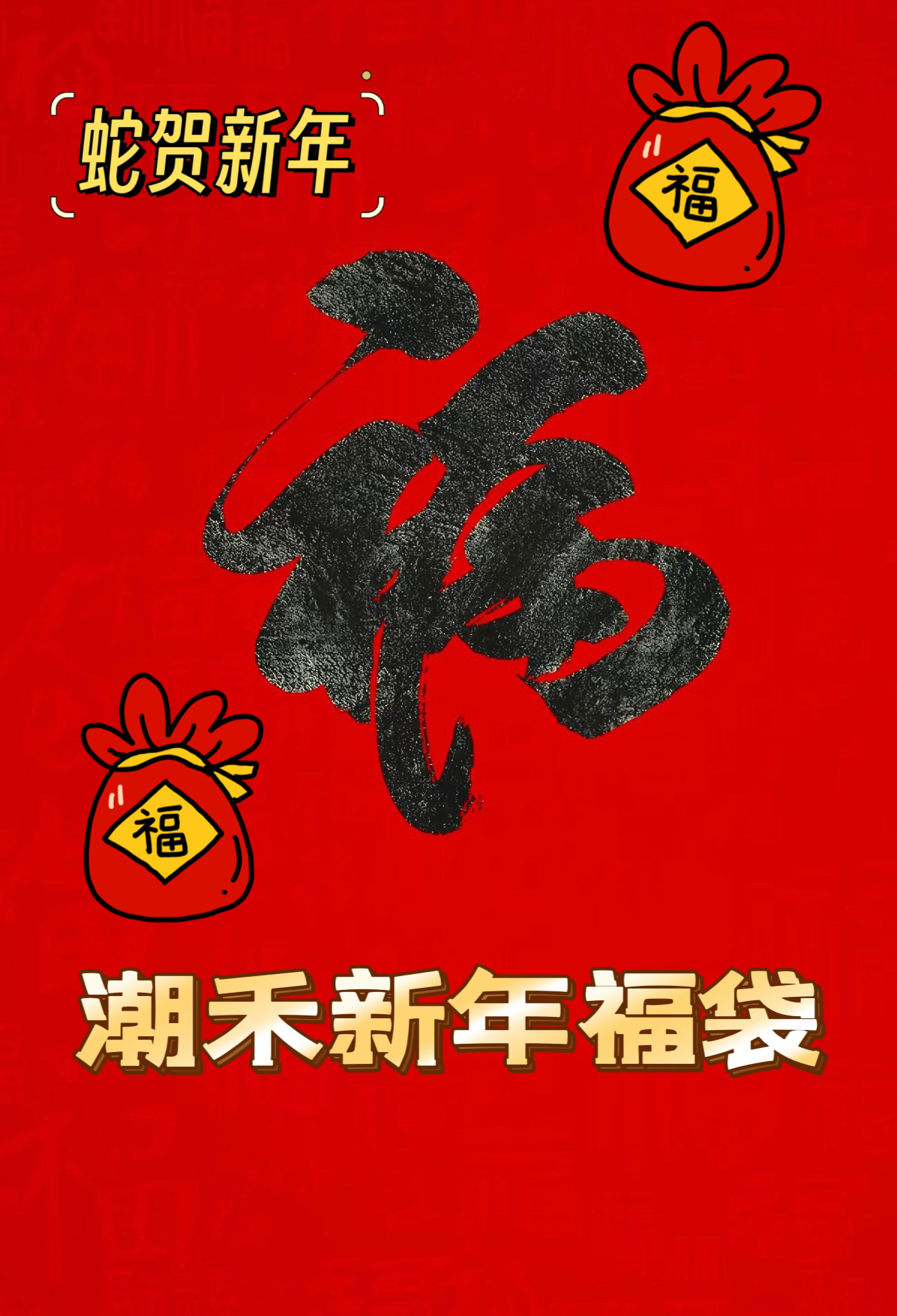 潮禾新年大吉蛇贺新年新春福袋（3件T恤）