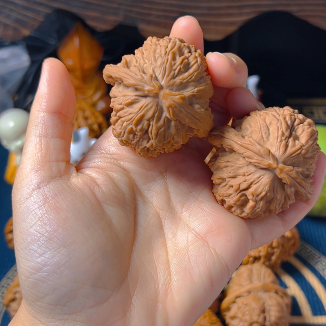 文玩核桃把件白狮子44+