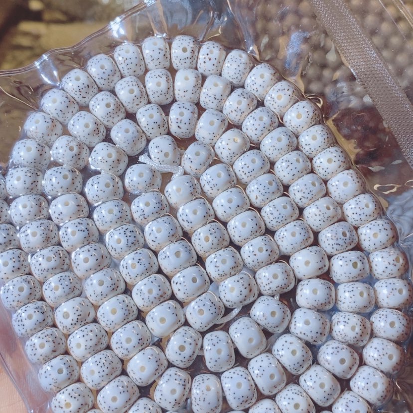 【闪购商品】星月菩提吊坠冰****咔Ffffffffffffgg