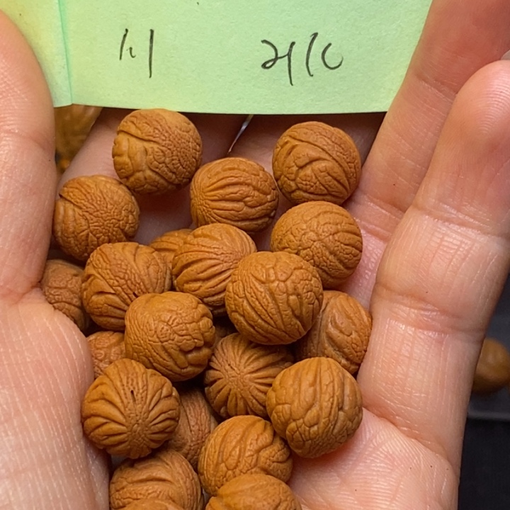 吊坠桃核秦岭龙纹桃核11尺寸