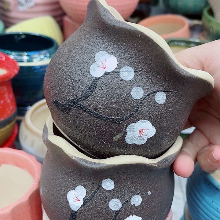 多肉植物陶瓷花盆