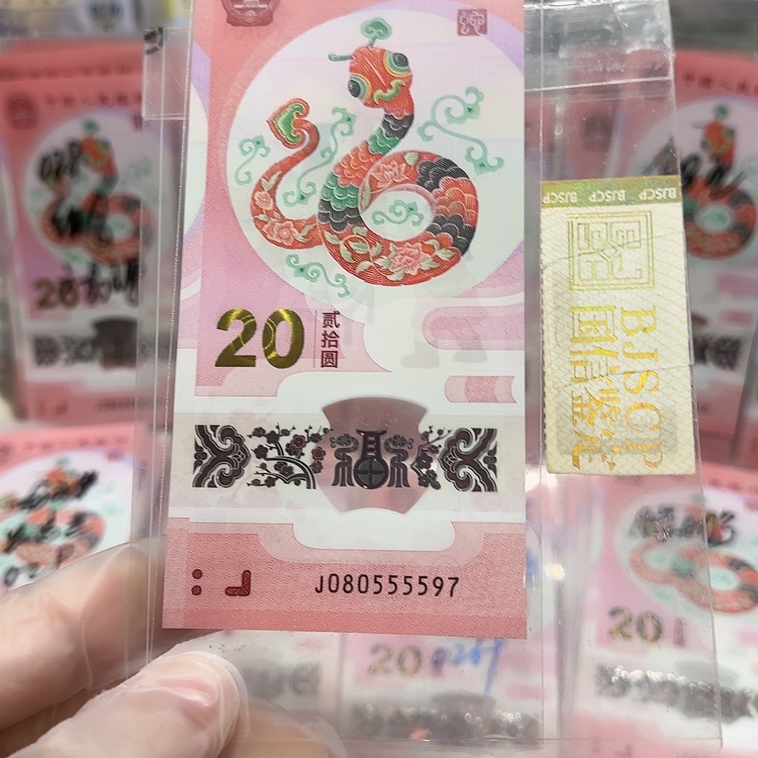 纸080555597。。。。。。。。