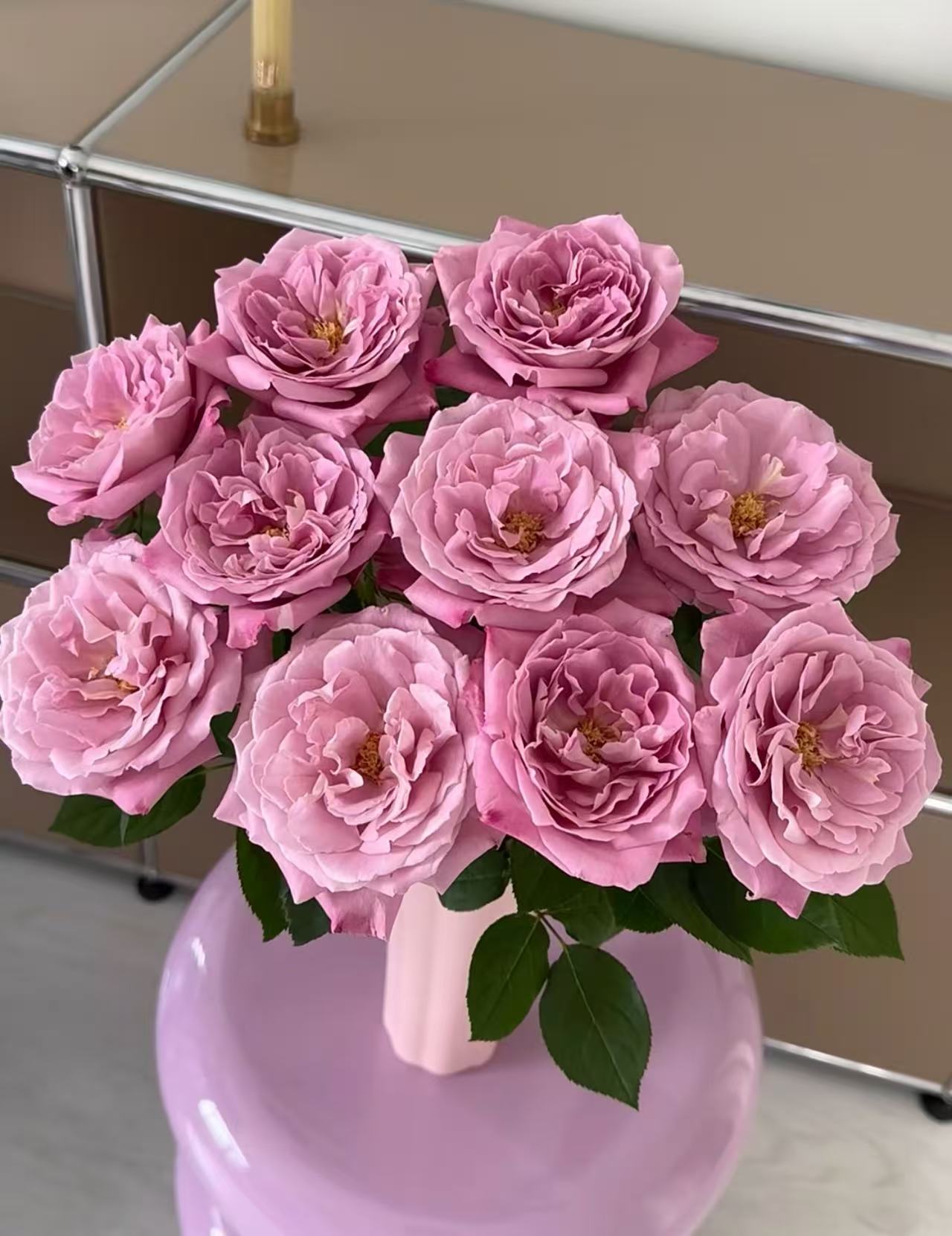 【陌上花开】杯状蓝眼-稀有单头玫瑰（注意带包装醒花哦~）