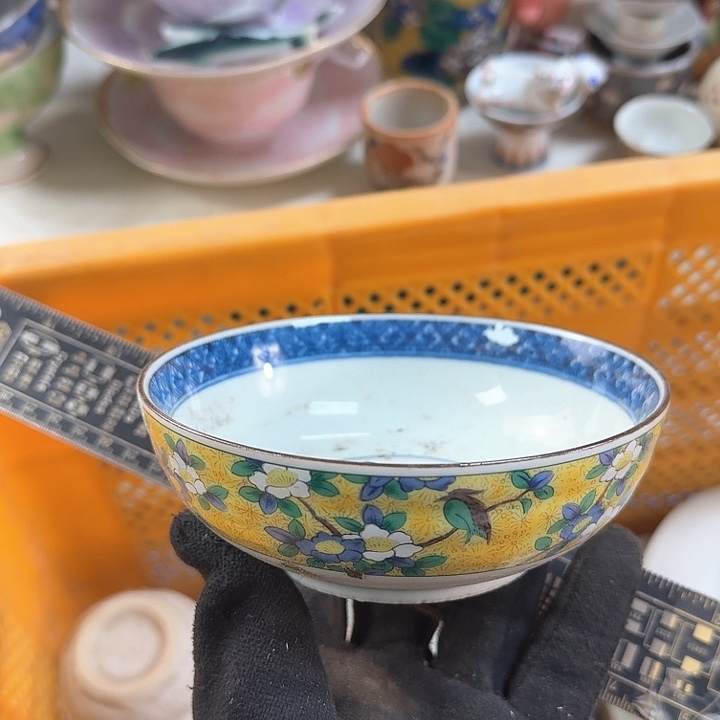 碗开播啦….开播啦