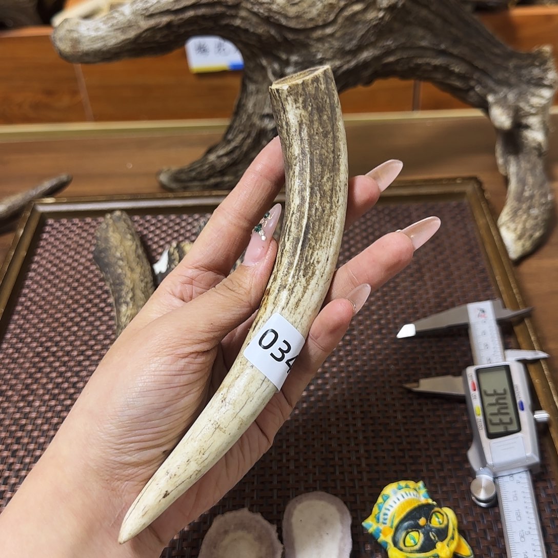 鹿骨手串/手链0342角尖梅花鹿