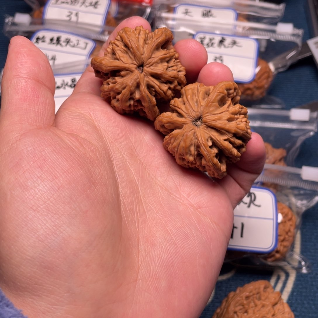 姬*荣虎头三棱全品42！！！！！！！！！！！