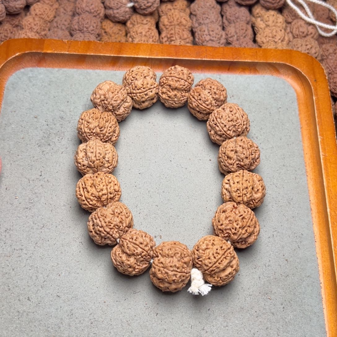 菩提1号金刚菩提梅花双龙23