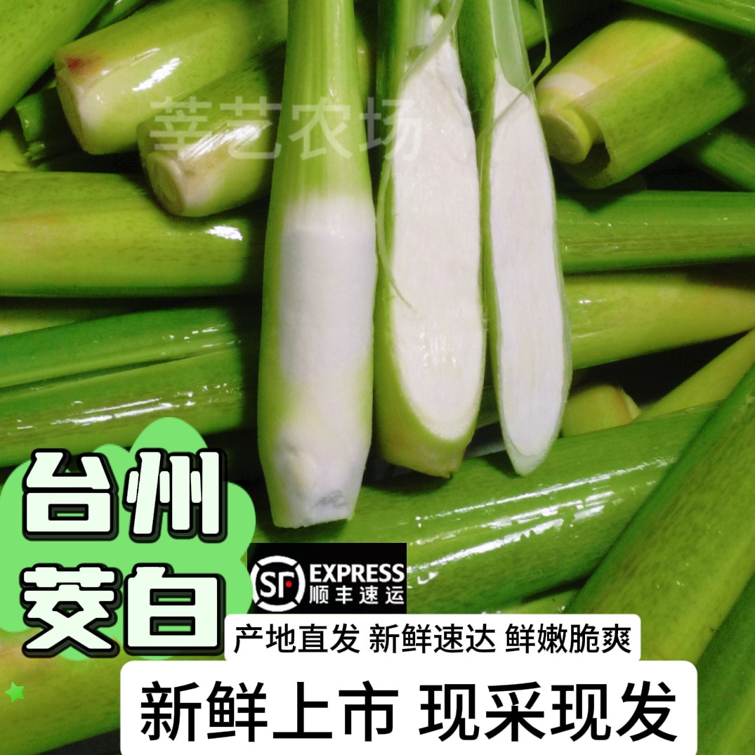 浙江源头当季时令新鲜茭白农家食用高笋现摘带壳发货鲜美脆嫩