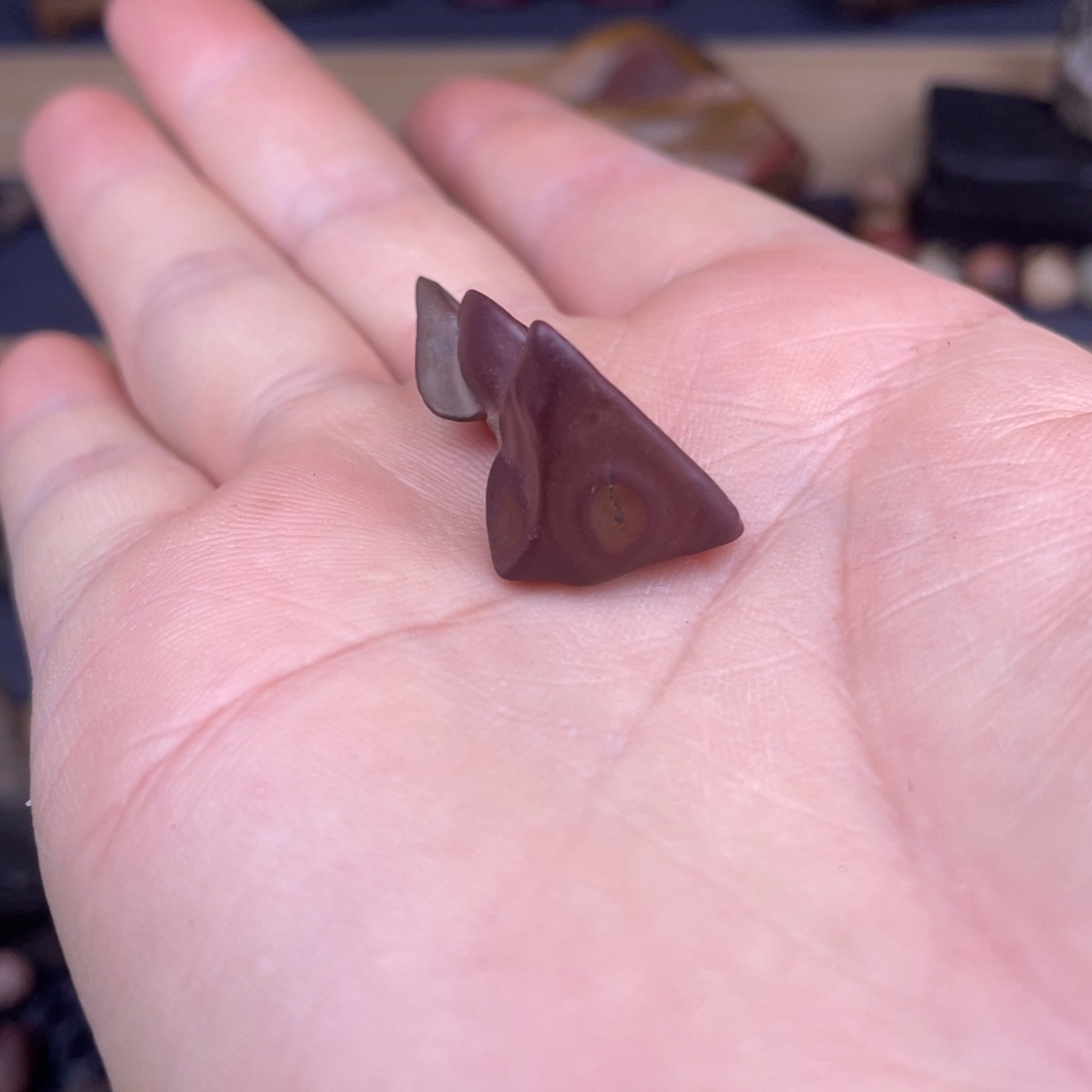 可***否泥8808888888888888111