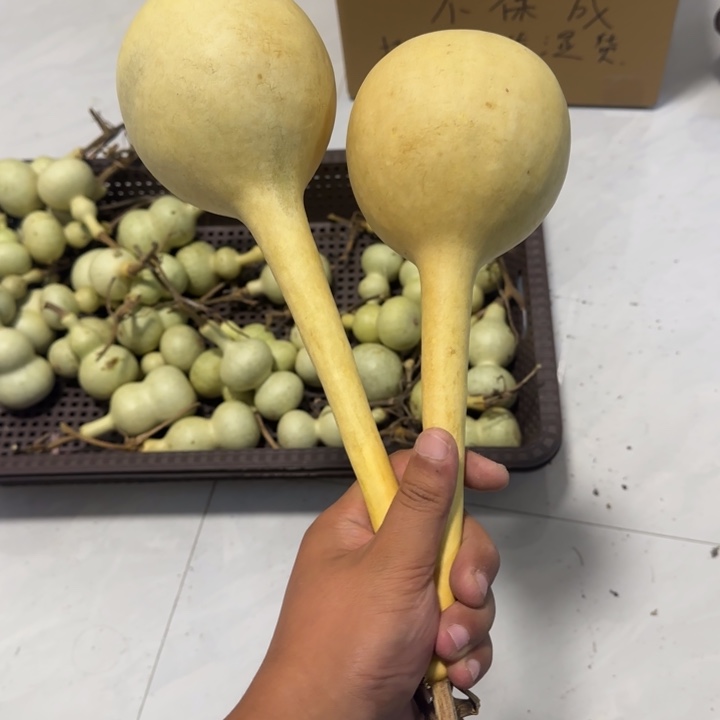 明****感谢大哥支持兄弟，不保成