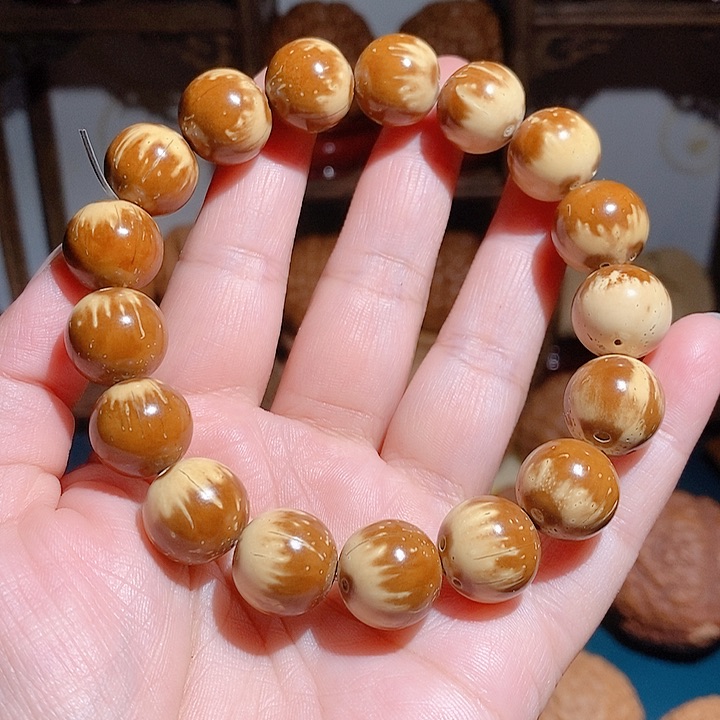 野生熊猫鼠手串手串1.5