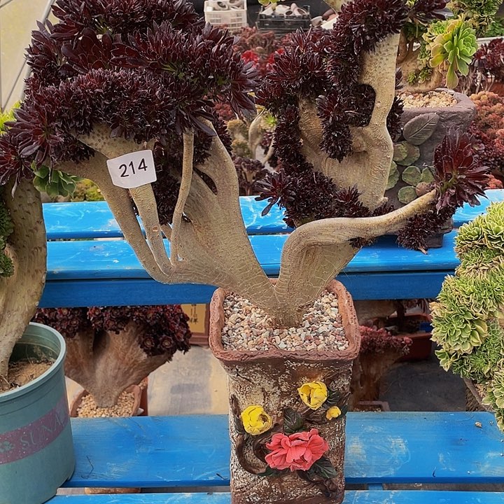 214号黑法师缀花