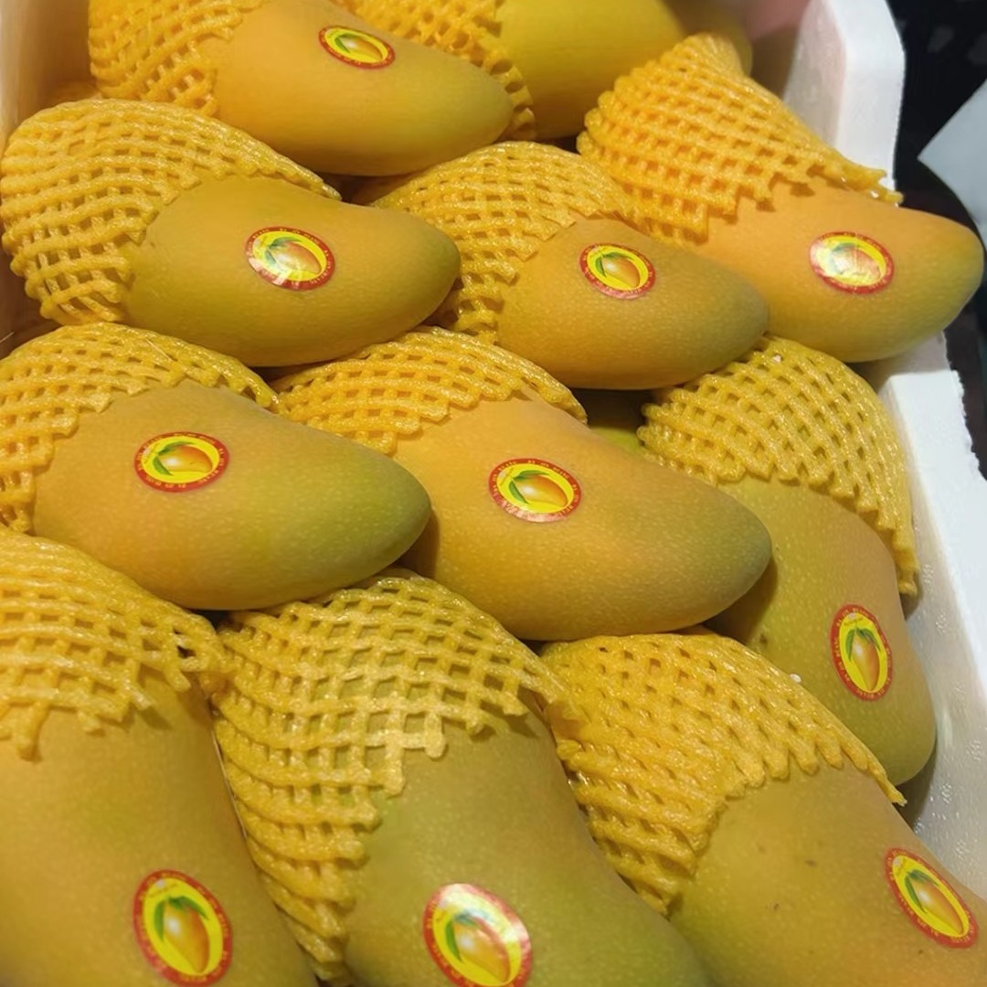 水仙芒果约550g个水仙芒