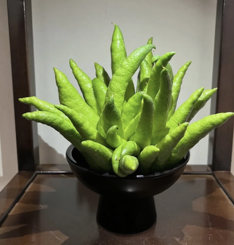 【佛手柑鲜切果供果家用观赏鲜花云南基地鲜花】任意拍两单升级顺丰