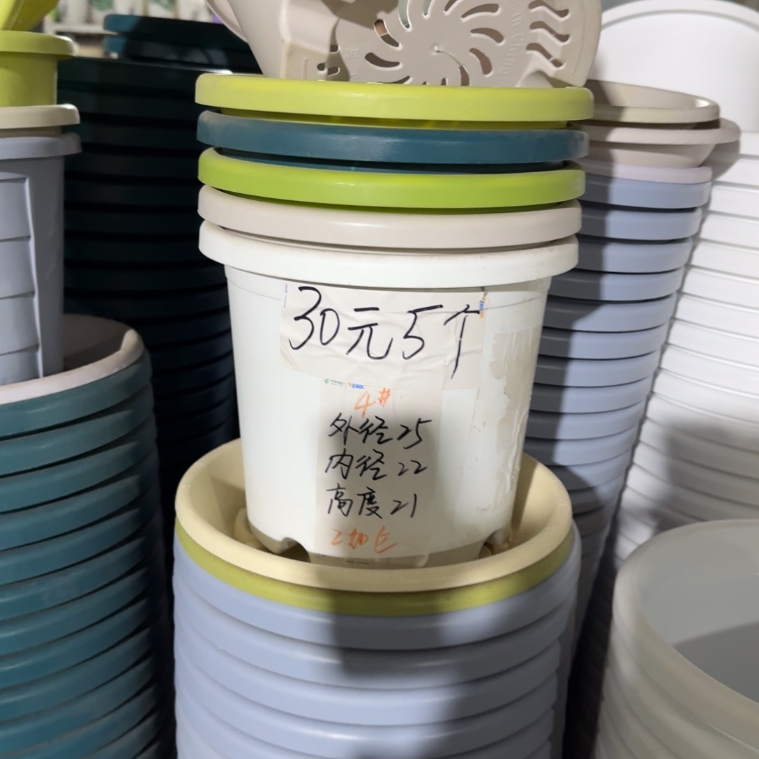 四季4#口径25无拖果绿8个