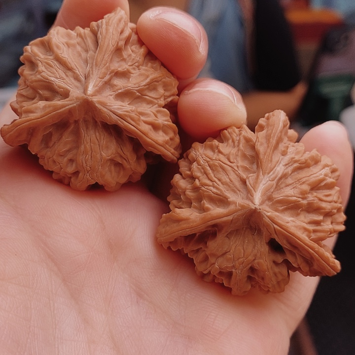 核桃38尺盘山三棱