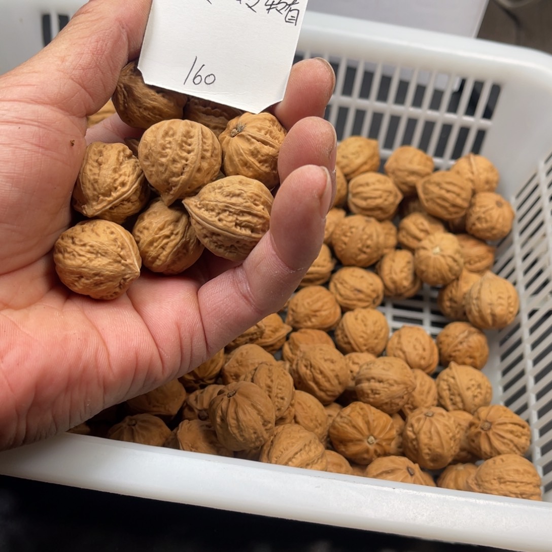 转***看野生小核桃160个70包邮