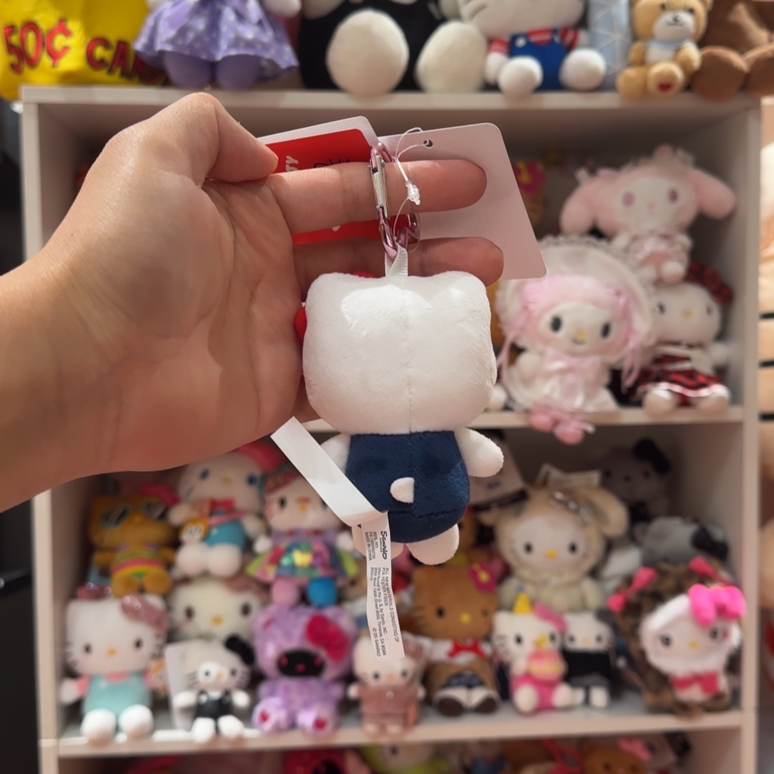 H***n毛绒预存kt挂件lll