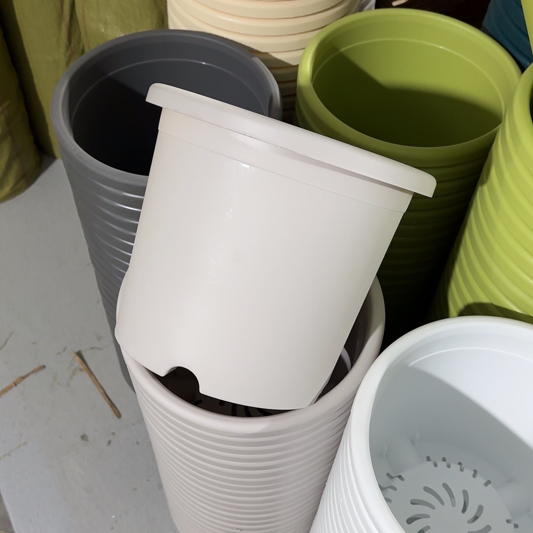 微瑕6号2个无托，灰白