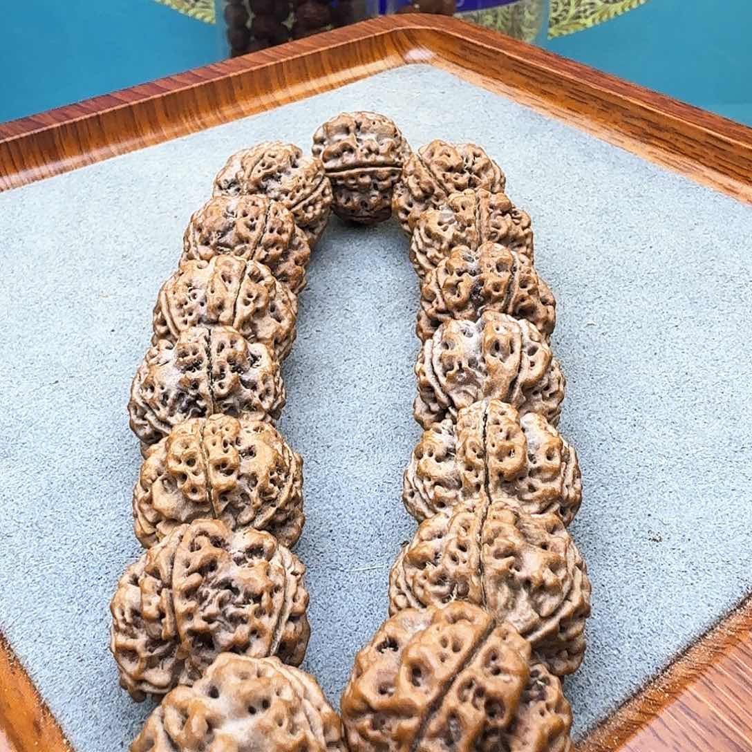 金刚菩提手串安娜蜂窝双龙