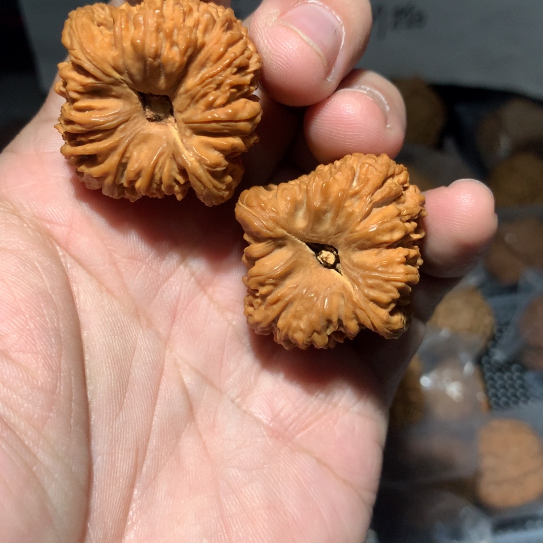 简***鱼文玩核桃把件小鱼哥专拍凹底南疆