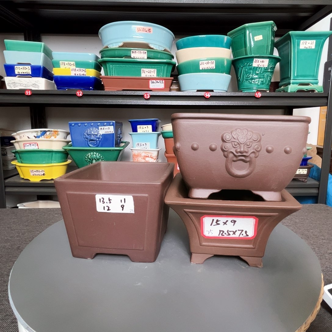 紫砂直播间闪购链接