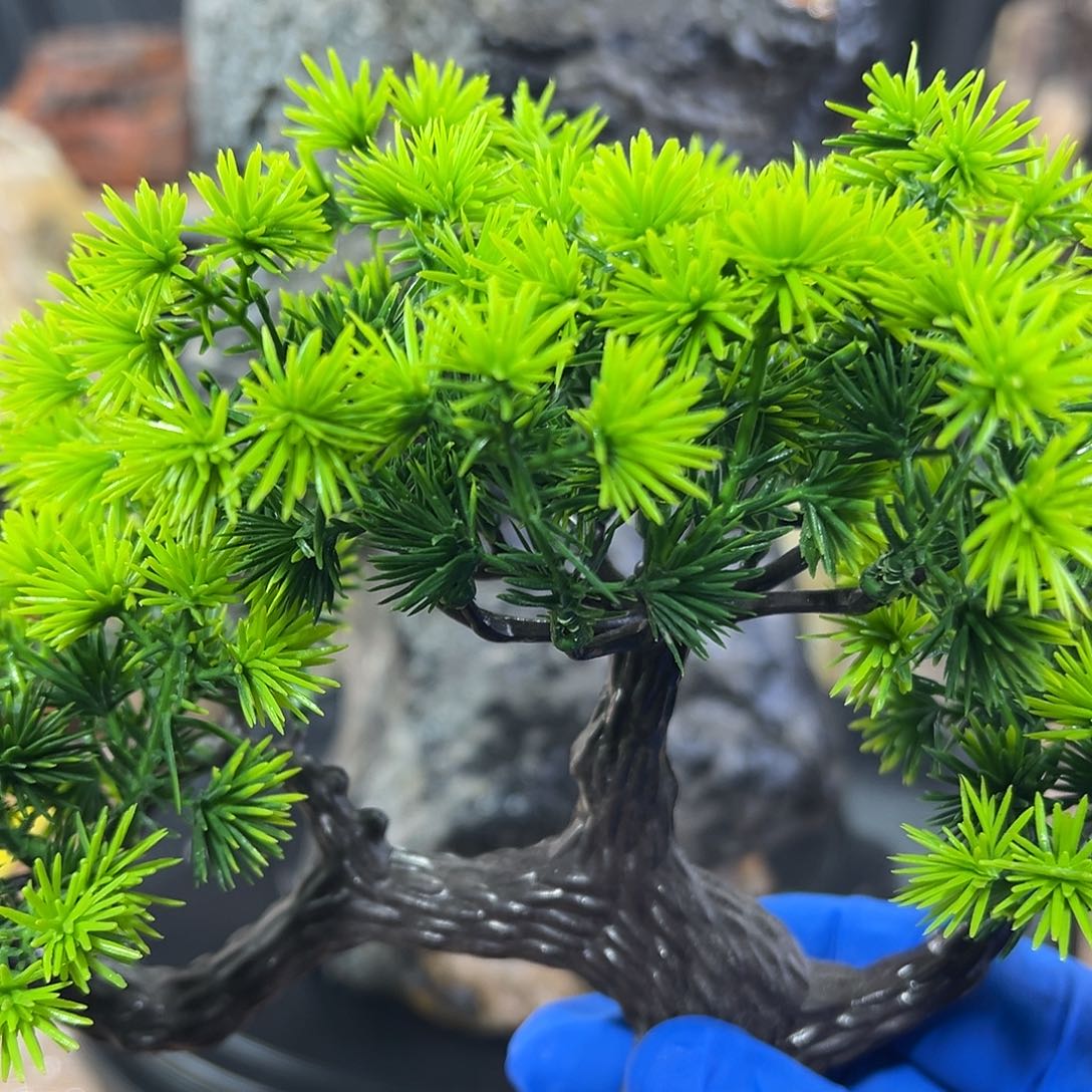 石头天*水有意境的花盆