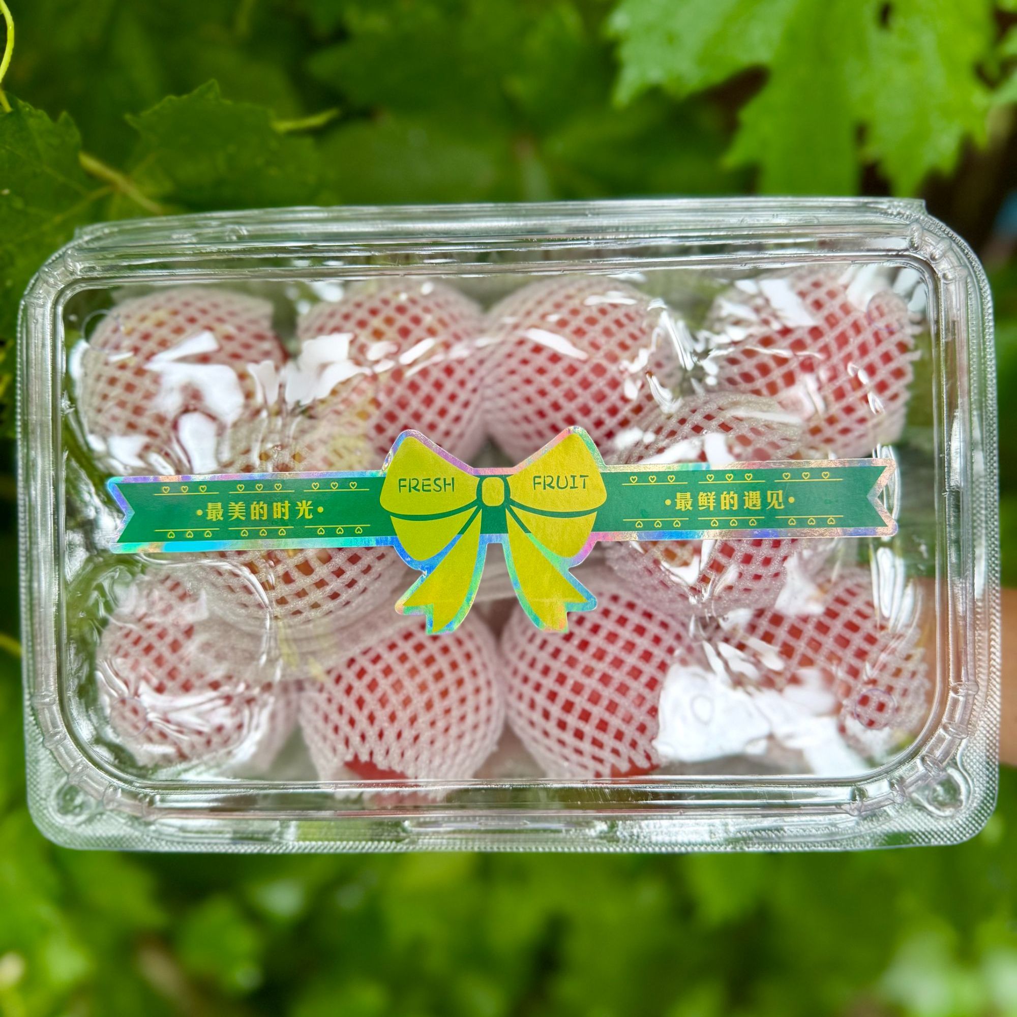 【顺丰京东-明早到家】普罗旺斯水果番茄新鲜番茄同城送山西省