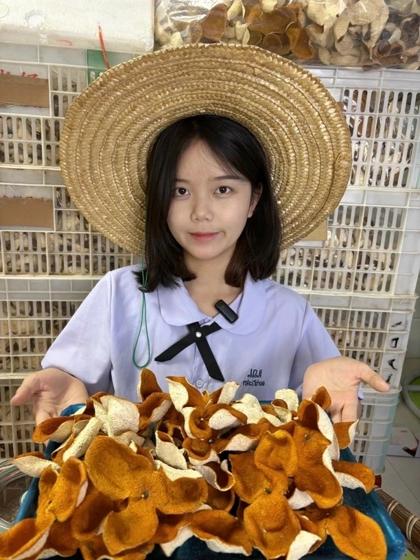 广西浦北茶枝柑2024年大红皮（直播看图）