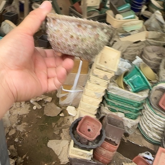 你不说不让她干啥呢