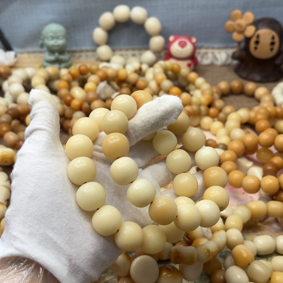 吊坠菩提根/象牙果18干磨瑕疵落地果一锅160