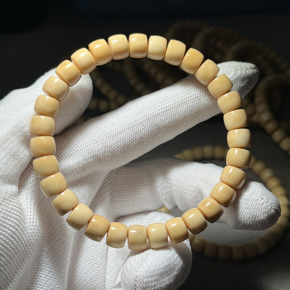 菩提龙脊菩提  977