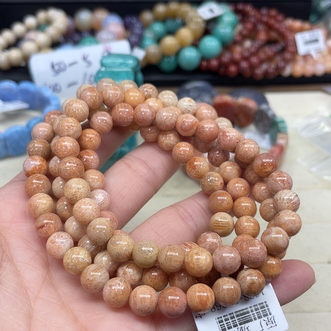 未镶嵌手串硅化珊瑚（珊瑚玉）845