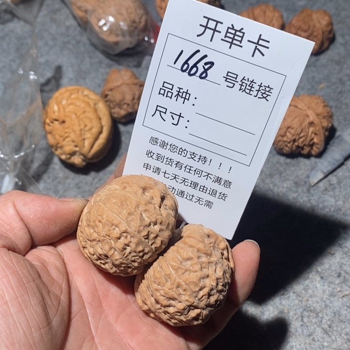 文玩核桃把件1668号咯哦哦我哦哦哦哦