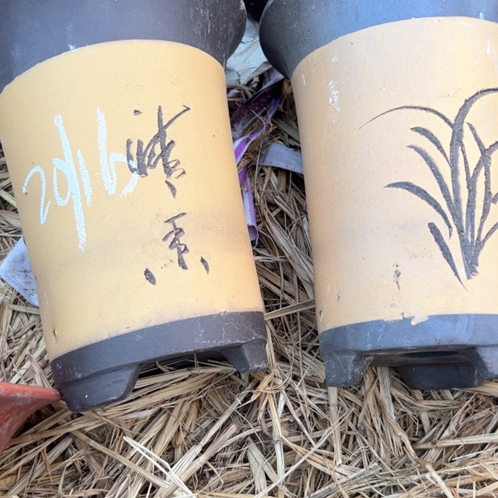 红陶紫砂兰花盆微瑕