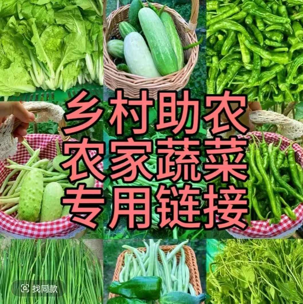 农家本地时令新鲜蔬菜营养健康赶集链接