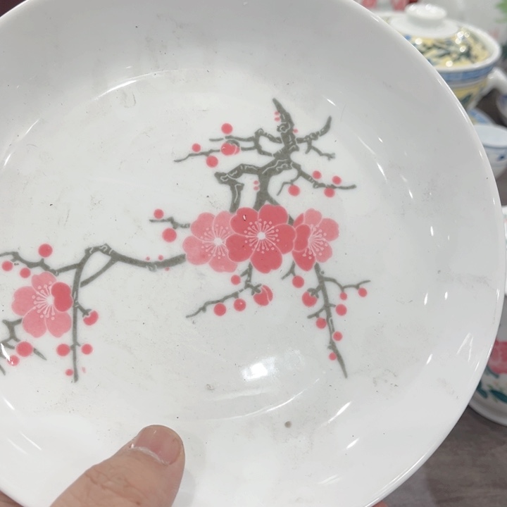 壶山****司釉下五彩的瓷器和面碗