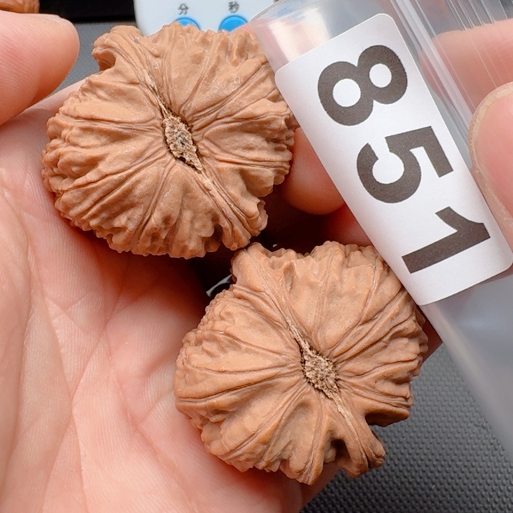 文玩核桃把件磨*间白狮40