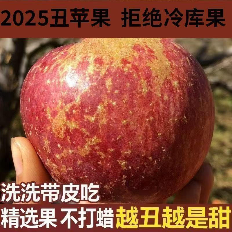 丑苹果新鲜现摘脆甜多汁水果