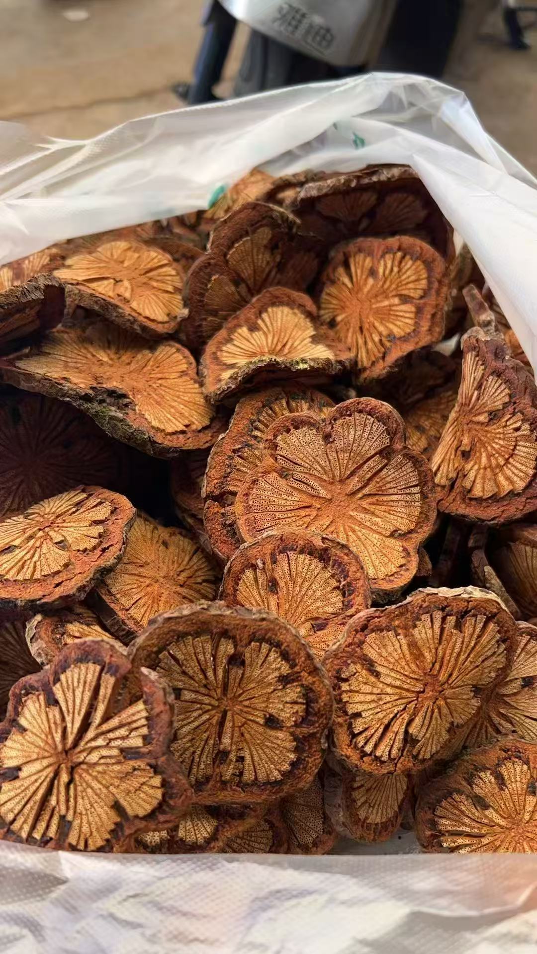 云南深山老林红藤