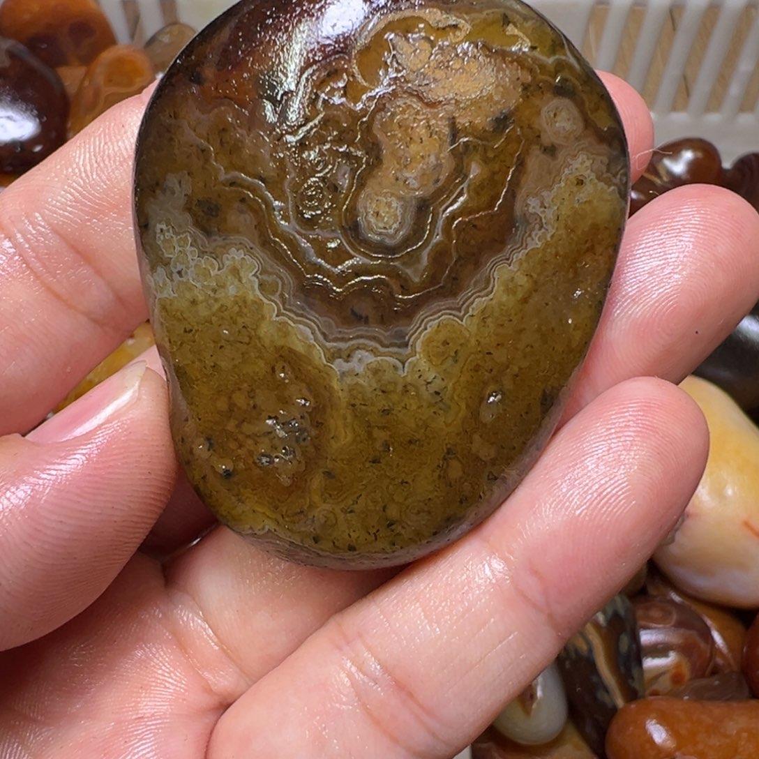 丑***犇瓷片马达加斯加奇石