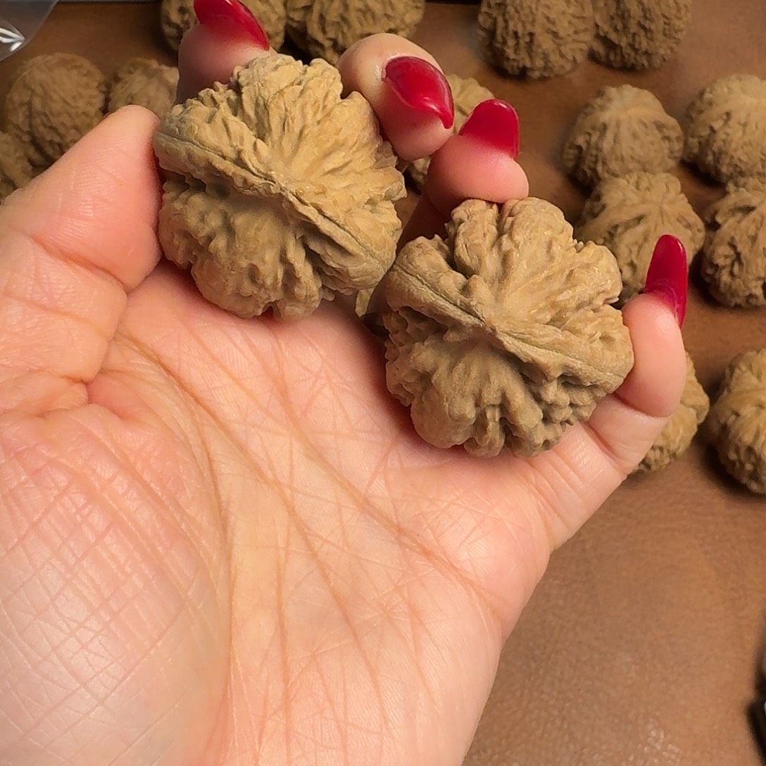 文玩核桃吊坠全品霸王龙